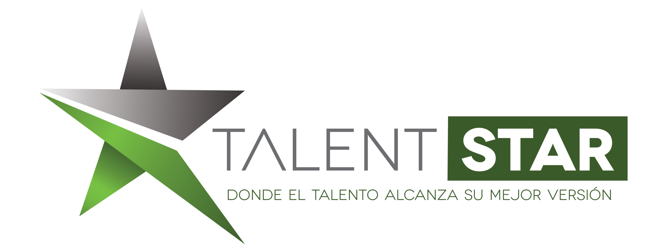 Logotipo Talent Star-04